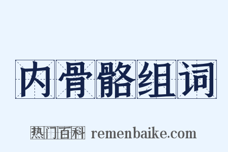 内骨骼组词是什么意思的图片